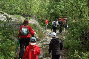 Actividades , disfruta con nosotros del día ... 